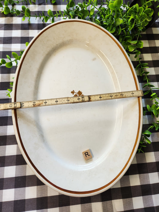 16.5 in Oval Anthony Shaw Tea Leaf Ironstone Platter